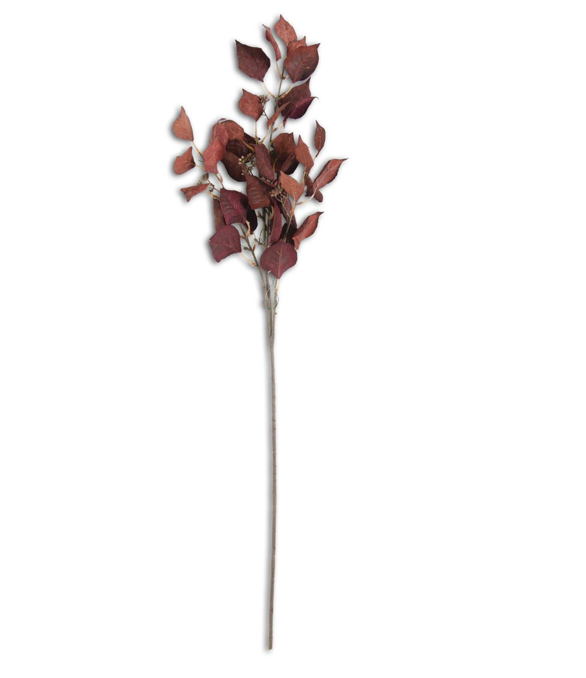 Burgundy Silver Dollar Eucalyptus Stem