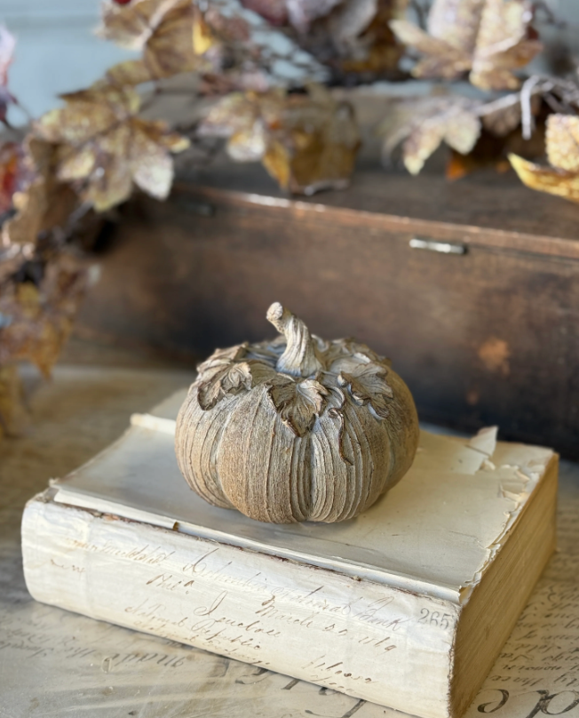 Small Stonewashed Pumpkin | Scratch & Dent
