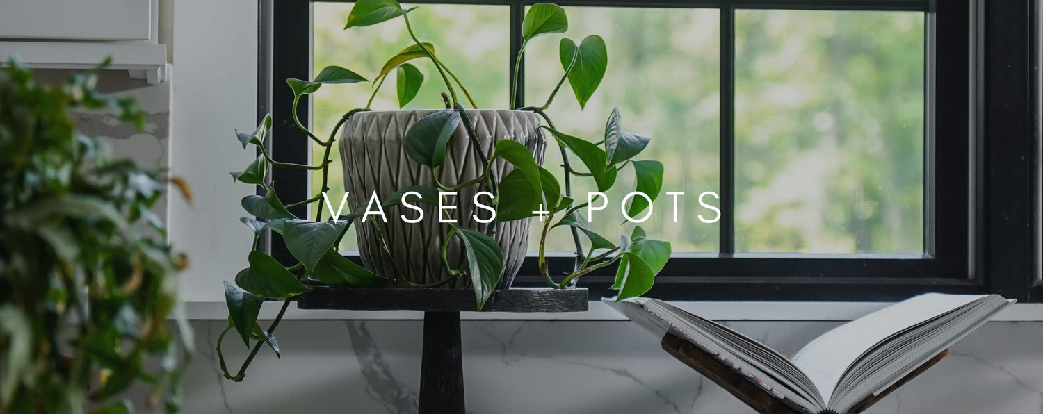 Vases + Pots