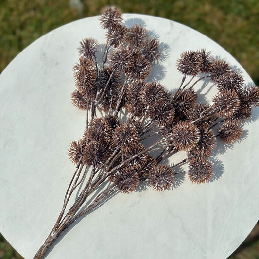 Dried brown flowers on a white round surface with a grassy background