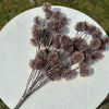 Dried brown flowers on a white round surface with a grassy background