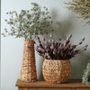 Tarrin Round Hyacinth Baskets