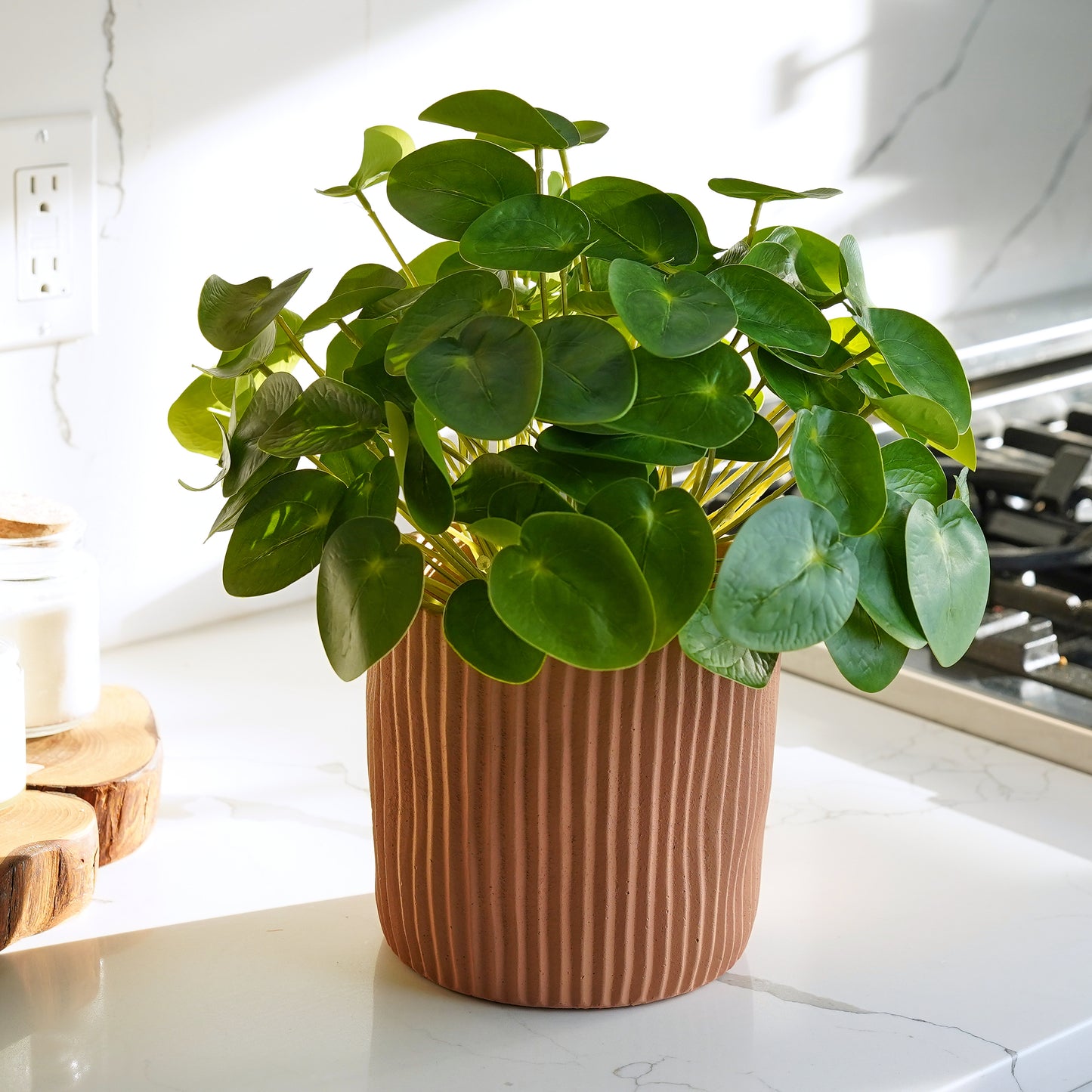 Terra Cotta Ribbed Planter