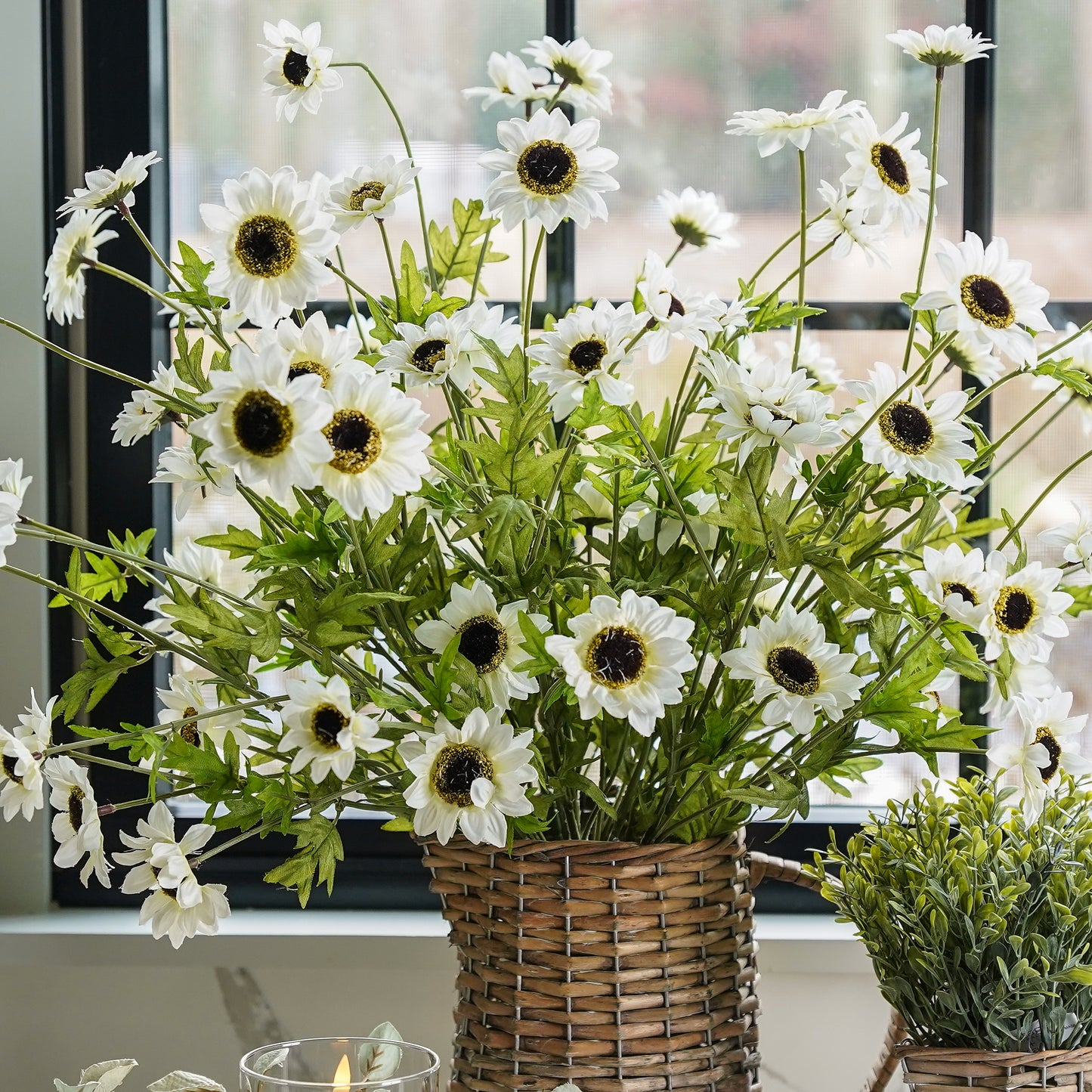 Black-Eyed Susan Bush