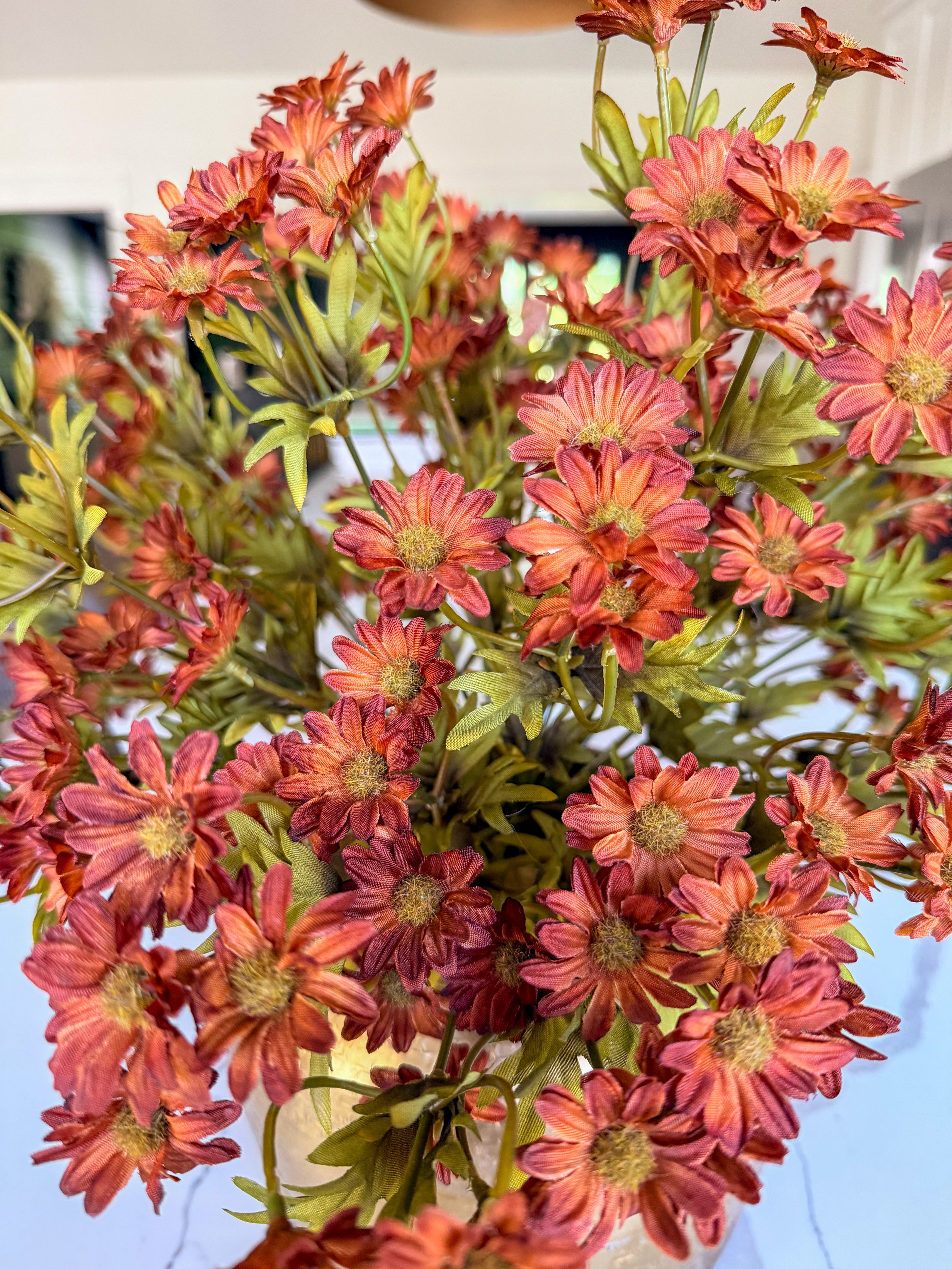 Dark Autumn Mum Bush