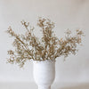 Muted Golden Brown Seed Pod Branch Bunch