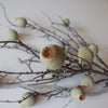 Harvest Pod Bundle | Sage