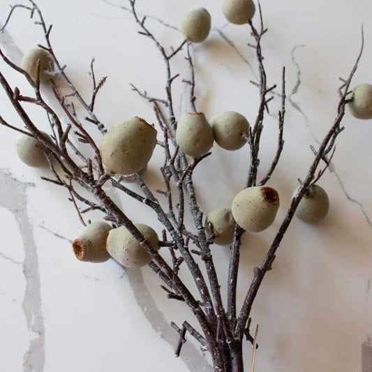 Harvest Pod Bundle | Sage