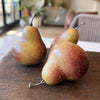 Speckled Pears | Set of 12