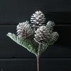 Flocked Fir and Pinecone Stem