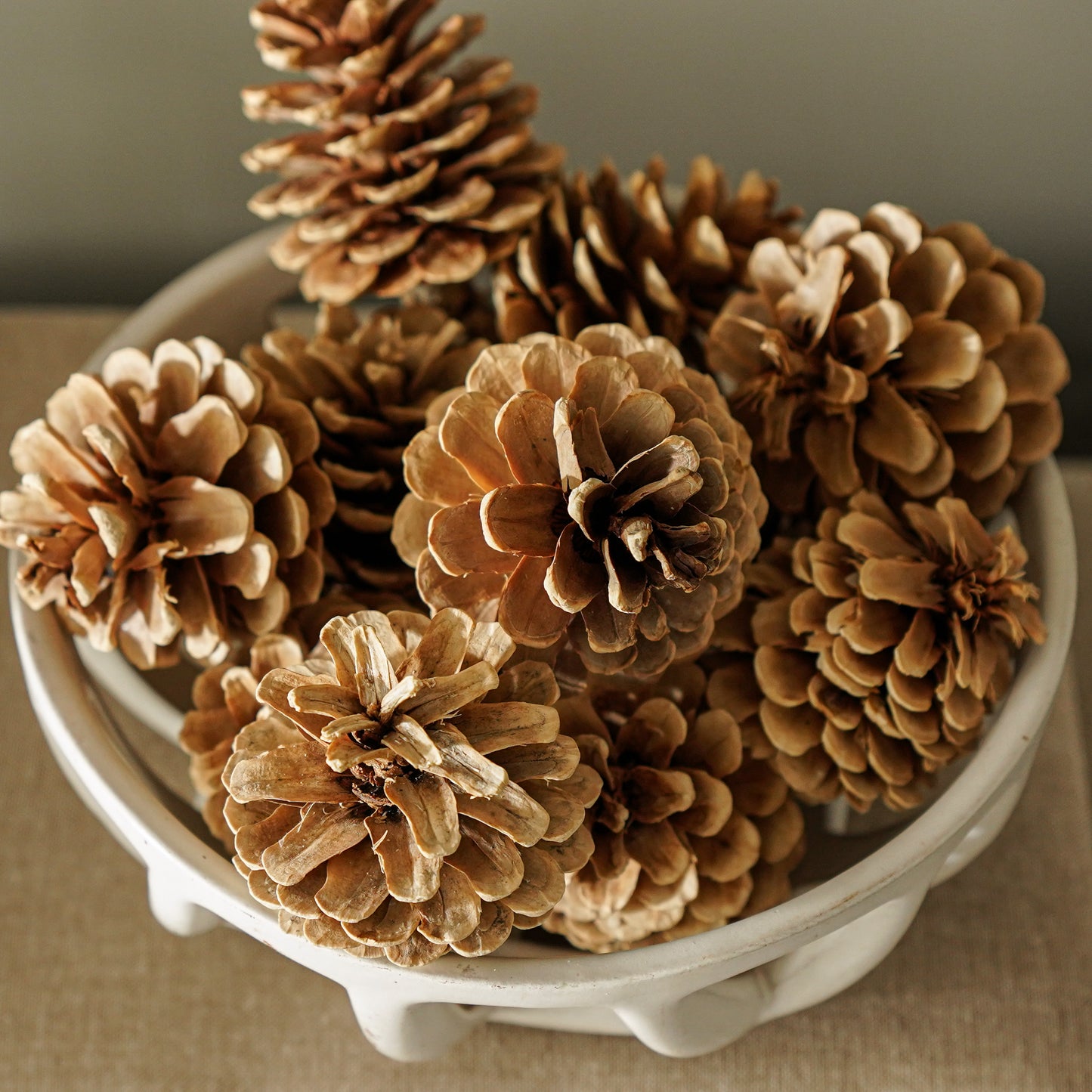 Bag of Pinecones