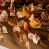 Birch Leaves Garland