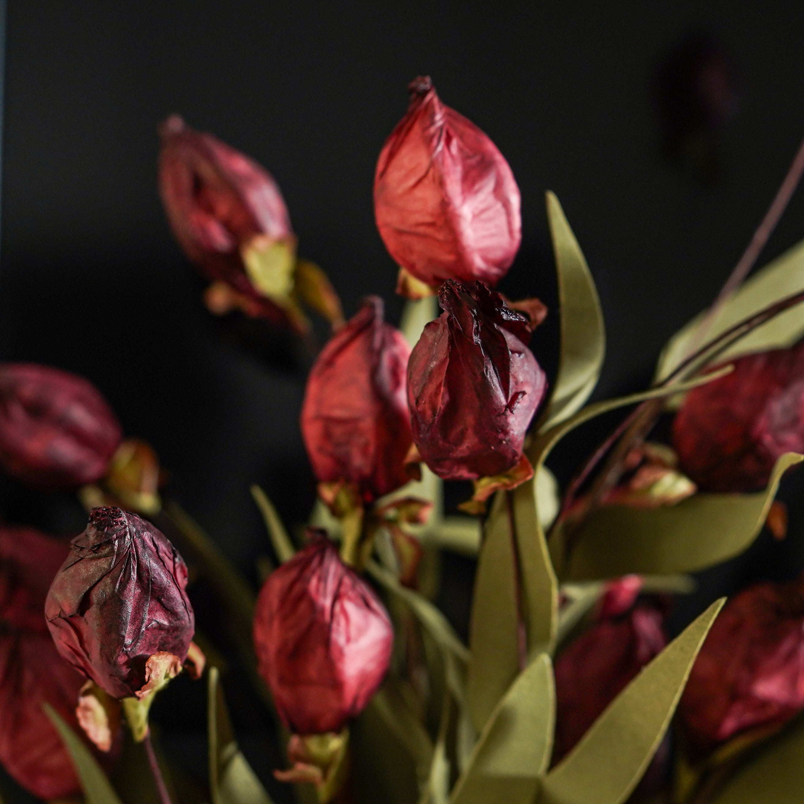 Lantern Bud Luxe Bush | Burgundy PRE ORDER