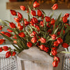 Lantern Bud Bush | Burnt Orange