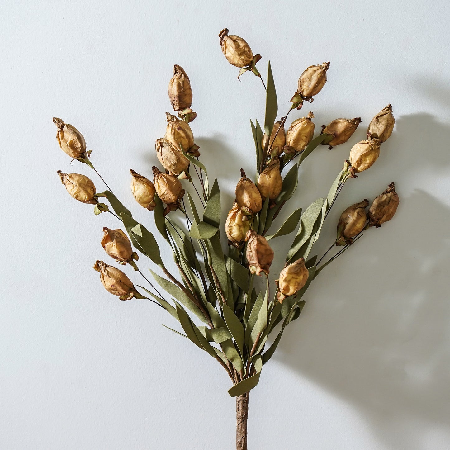 Lantern Bud Bush | Buckskin