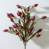 Lantern Bud Bush | Burgundy