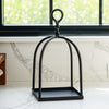 Black Iron Lantern Display