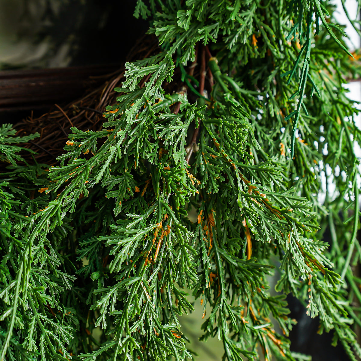 Draping Juniper Hanging Wreath | Small