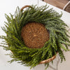 Sylvia Real Touch Cedar Wreath