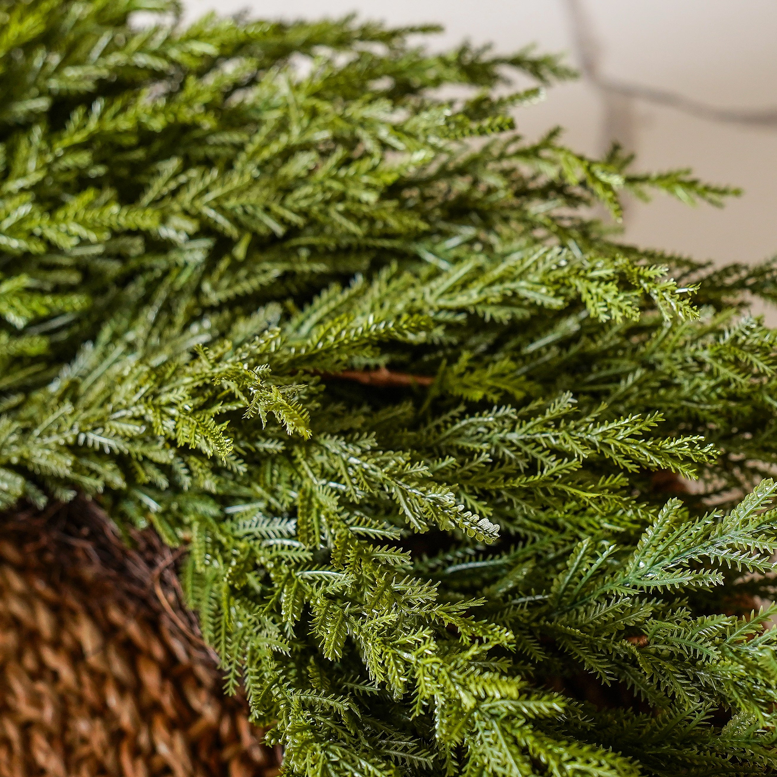 Sylvia Cedar Wreath | Kirstie's Favorite!