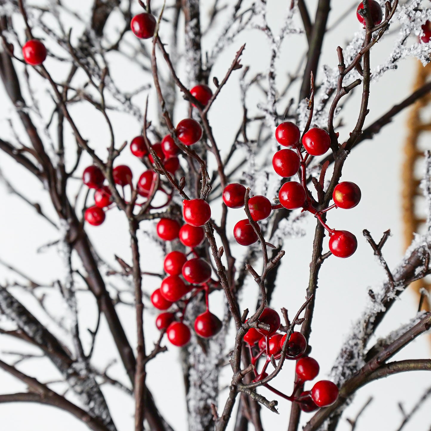 Red Berry Stem