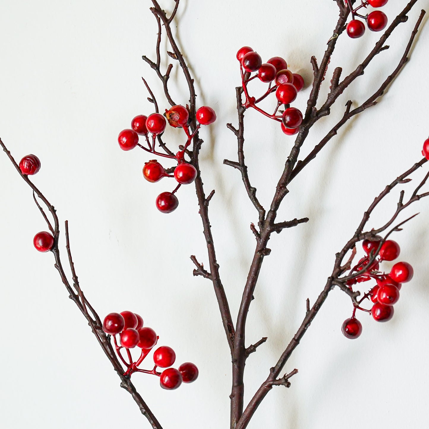 Red Berry Stem