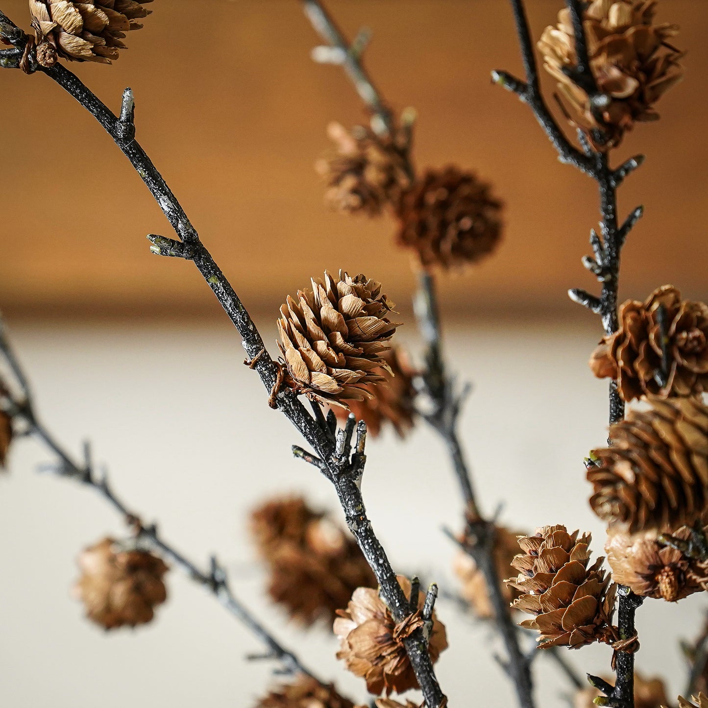 Pinecone Branch