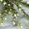 Snowy White Berry Leaf Stem