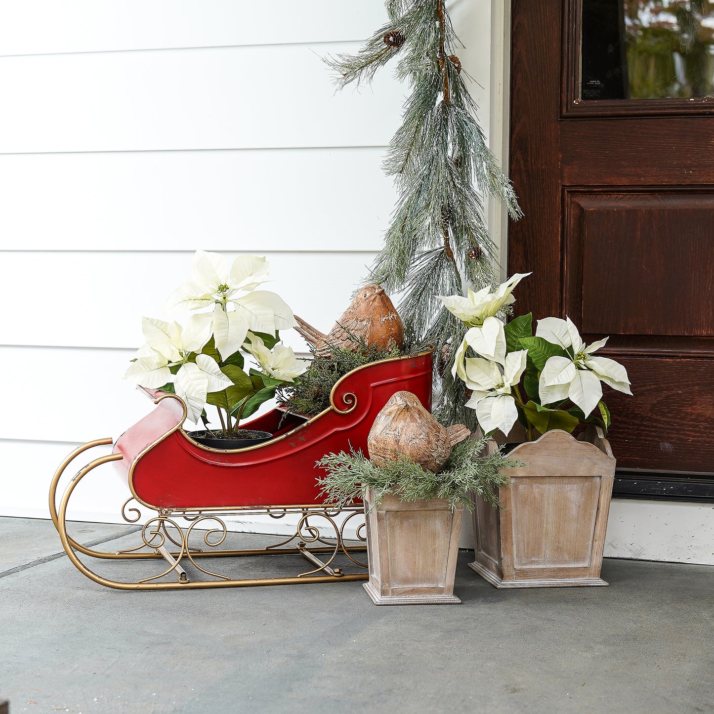 Potted White Poinsettia