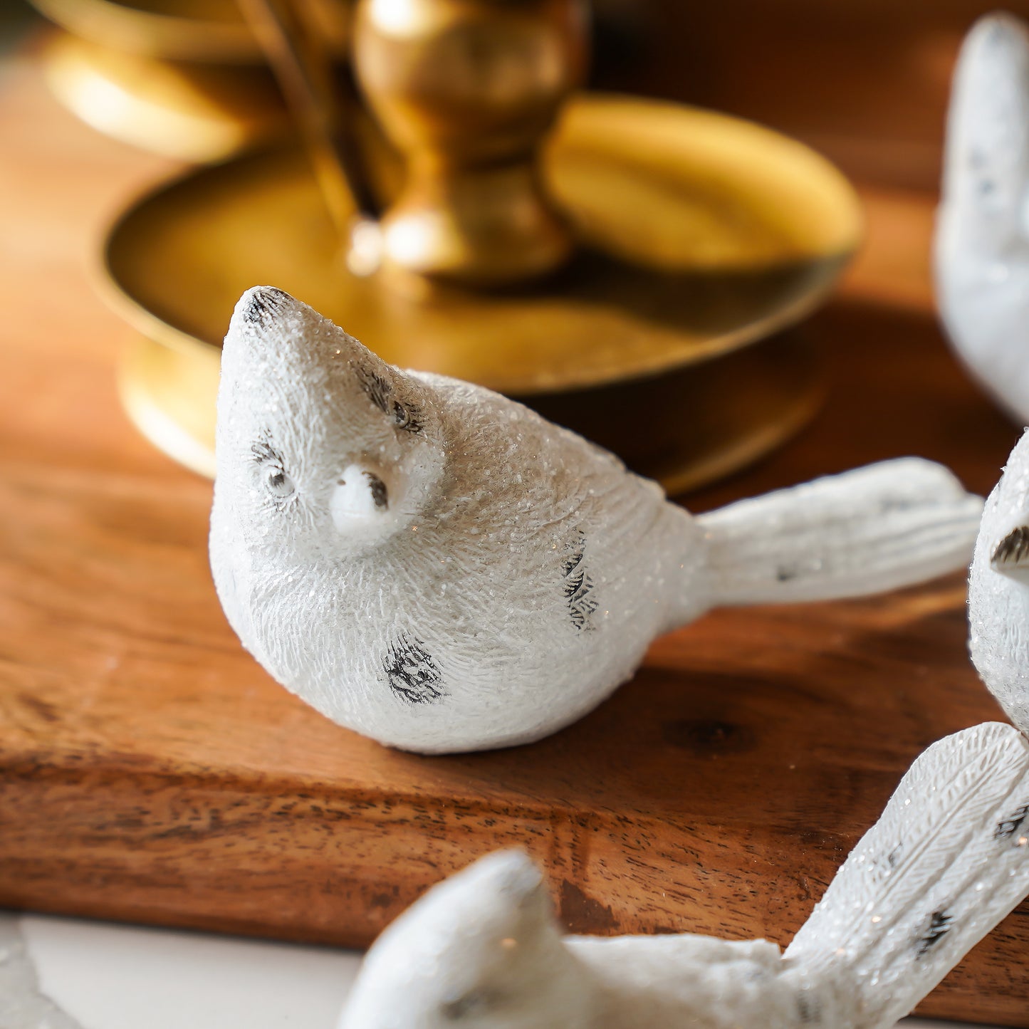 Small White Distressed Bird | Set of 6