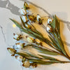 Lantern Bud Layering Stem | Cream Faux Fall Floral
