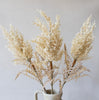 Natural Lace Leaf Stem | Cream