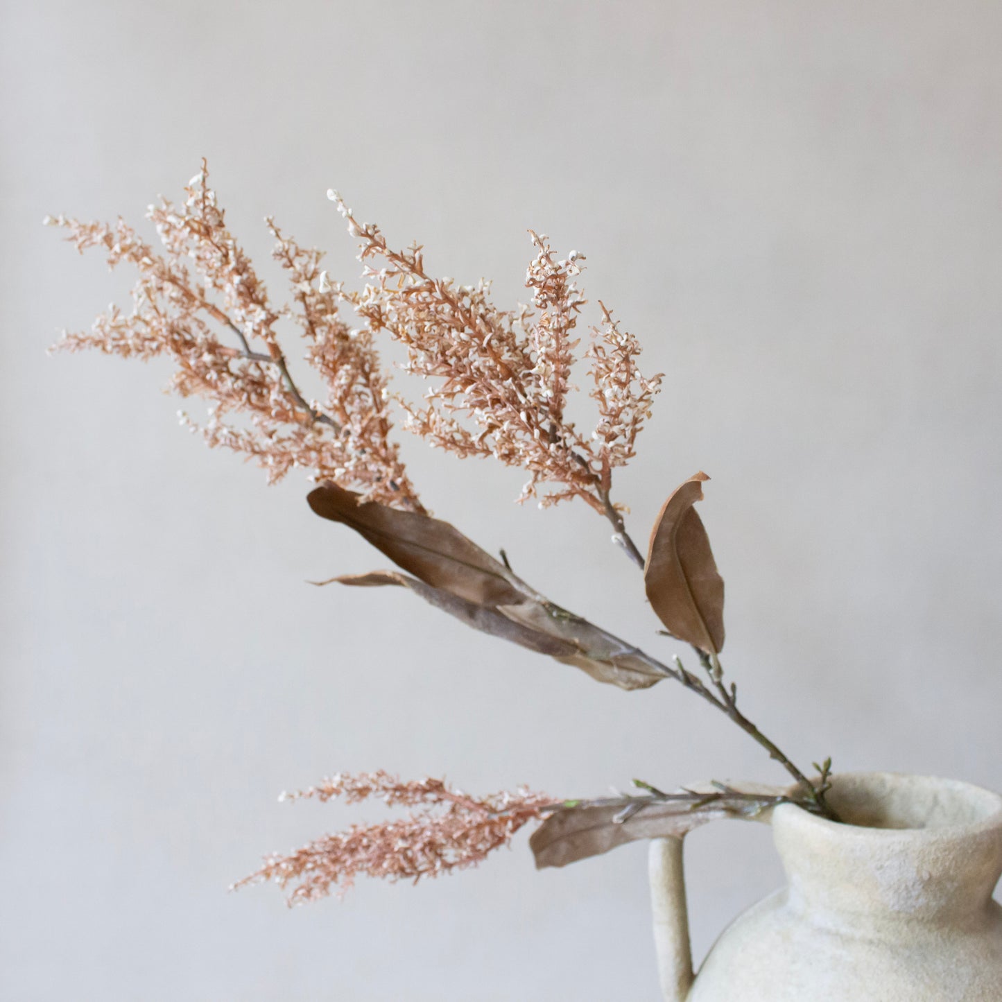 Sorghum Stem
