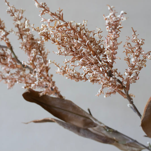 Sorghum Stem