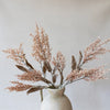 Sorghum Stem