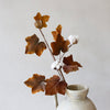 Maple Cotton Spray