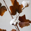 Maple Cotton Spray