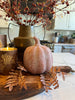 Terracotta Whitewashed Pumpkin
