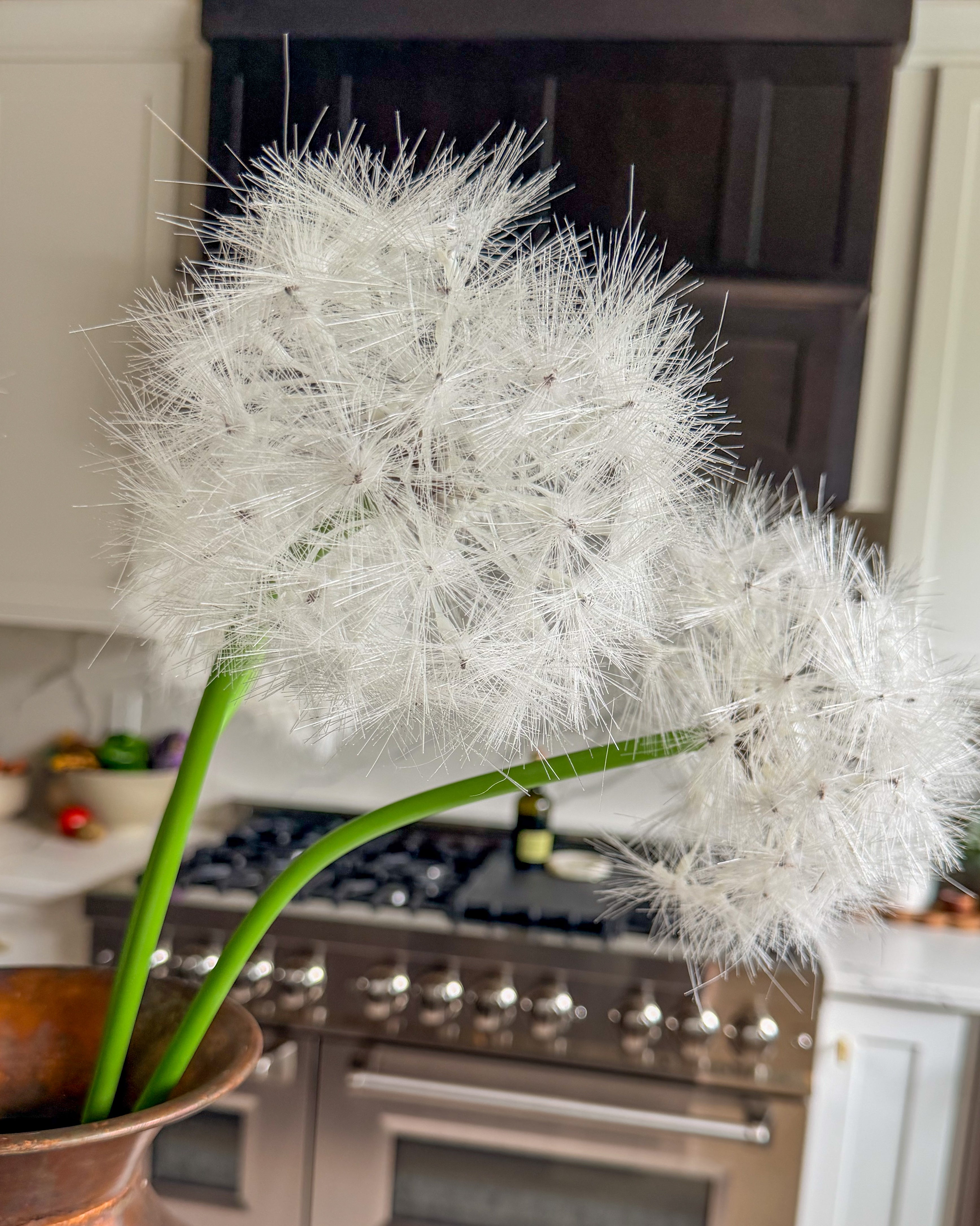 Faux Meadow Dandelion Stem