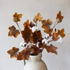 Maple Cotton Spray