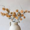 Copper Bristle Seed Head Stem