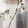Dried Floral Glass Hurricane Candleholder