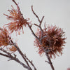 Dusty Rose Plume Stem