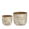 Distressed Vintage Set of Floral Pots | Early Access Release