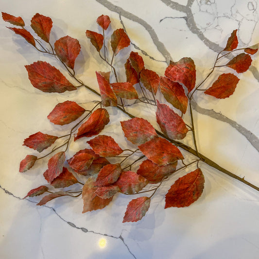 Rusty Leaf Stem