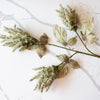 Golden Fields Cattails | Sage