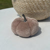 Velvet Pumpkin | Harvest, Snow, or Mocha