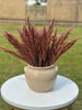 Mini Berries Bunch | Terracotta