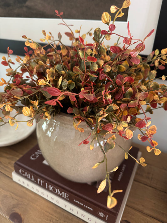 Pimpernel Bush | Set of 2