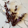 Burgundy Two Tone Basil Leaf Spray